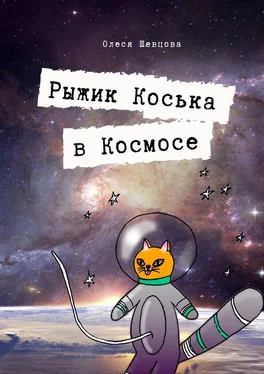 Олеся Шевцова Рыжик Коська в Космосе обложка книги