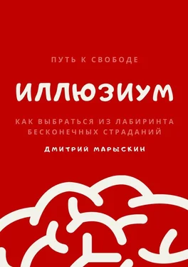 Дмитрий Марыскин ИллюзиУм. Как выбраться из лабиринта бесконечных страданий обложка книги