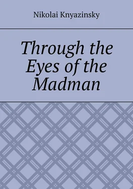 Nikolai Knyazinsky Through the Eyes of the Madman обложка книги