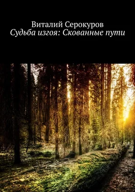 Виталий Серокуров Судьба изгоя: Скованные пути обложка книги