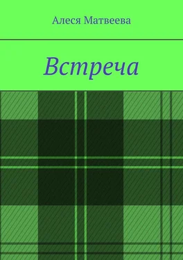 Алеся Матвеева Встреча обложка книги