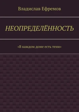 Владислав Ефремов Неопределённость обложка книги