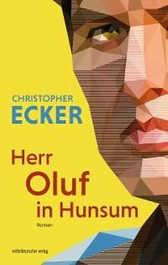 Christopher Ecker Herr Oluf in Hunsum обложка книги