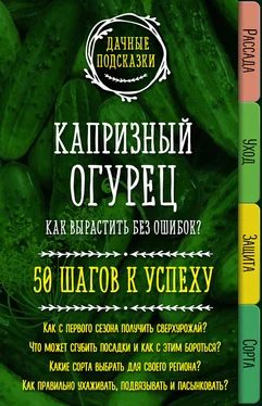 Мария Колпакова Капризный огурец. Как вырастить без ошибок? 50 шагов к успеху обложка книги