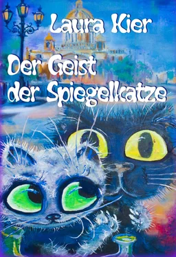 Laura Kier Der Geist der Spiegelkatze обложка книги