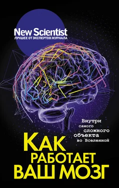 Сборник Как работает ваш мозг. Внутри самого сложного объекта во Вселенной обложка книги