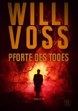 Willi Voss Pforte des Todes обложка книги