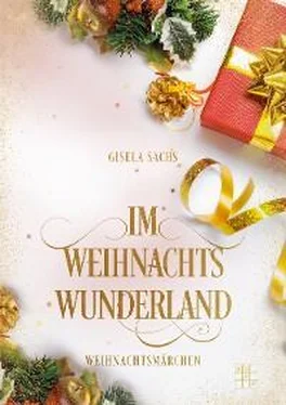 Gisela Sachs Im Weihnachtswunderland обложка книги