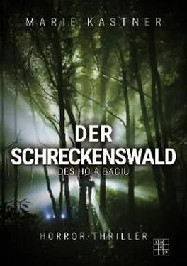Marie Kastner Der Schreckenswald des Hoia Baciu обложка книги