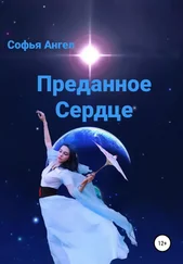 Софья Ангел - Преданное сердце