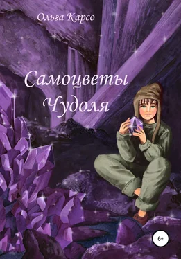 Ольга Карсо Самоцветы Чудоля обложка книги