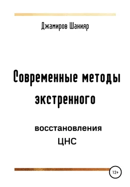 Шанияр Джамиров Современные методы экстренного восстановления ЦНС обложка книги