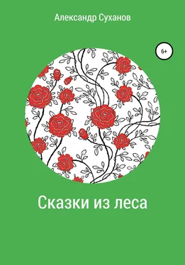 Александр Суханов Сказки из леса обложка книги