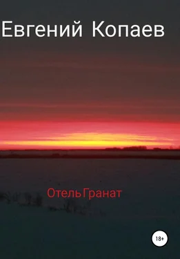 Евгений Копаев Отель Гранат обложка книги