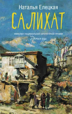 Наталья Елецкая Салихат обложка книги