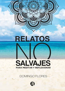 Domingo Flores Relatos no salvajes обложка книги