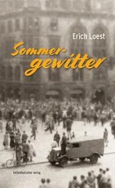 Erich Loest Sommergewitter обложка книги