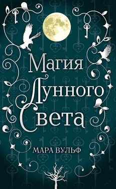 Мара Вульф Магия лунного света обложка книги