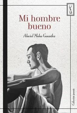 Alaciel Molas González Mi hombre bueno обложка книги