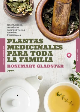 Rosemary Gladstar Plantas medicinales para toda la familia обложка книги