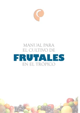 Javier Orduz Manual para el cultivo de frutales en el trópico. Cítricos обложка книги