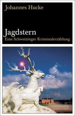 Johannes Hucke Jagdstern обложка книги