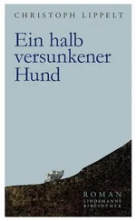 Christoph Lippelt - Ein halb versunkener Hund