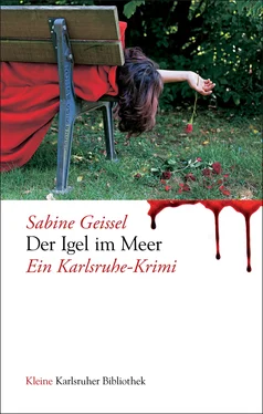 Sabine Geissel Der Igel im Meer обложка книги