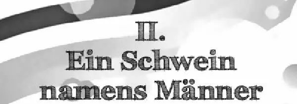 Vom Ladykiller zum Womanizer Als Jungfräulichkeit noch als Tugend und nicht als - фото 14