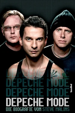 Steve Malins Depeche Mode - Die Biografie обложка книги