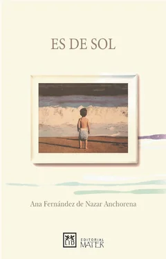 Ana Fernández de Nazar Anchorena Es de sol обложка книги