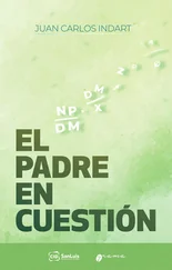 Juan Carlos Indart - El padre en cuestión