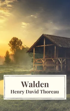 Henry David Thoreau Walden обложка книги
