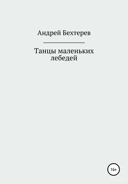 Андрей Бехтерев Танцы маленьких лебедей обложка книги