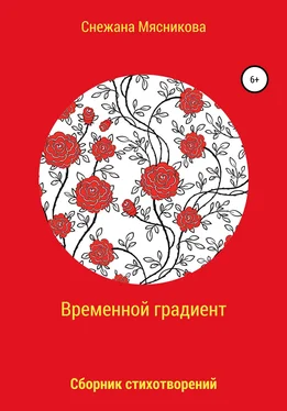 Снежана Мясникова Временной градиент обложка книги