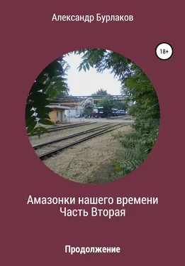 Александр Бурлаков Амазонки нашего времени. Часть Вторая обложка книги