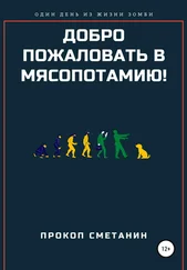 Прокоп Сметанин - Добро пожаловать в Мясопотамию!