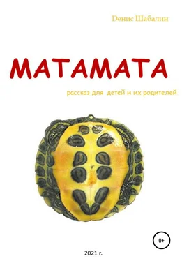 Денис Шабалин Матамата обложка книги