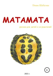 Денис Шабалин - Матамата