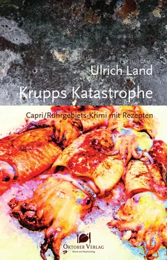 Ulrich Land Krupps Katastrophe обложка книги