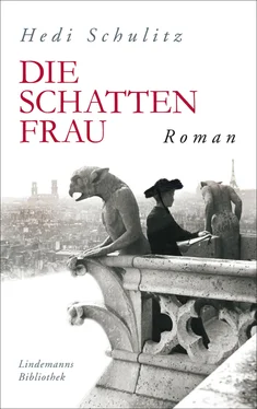Hedi Schulitz Die Schattenfrau обложка книги
