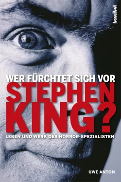 Uwe Anton Wer fürchtet sich vor Stephen King? обложка книги