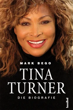 Mark Bego Tina Turner - Die Biografie обложка книги