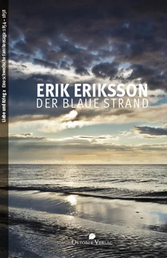 Erik Eriksson Der blaue Strand обложка книги
