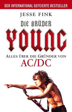 Jesse Fink Die Brüder Young - Alles über die Gründer von AC/DC обложка книги