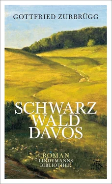 Gottfried Zurbrügg Schwarzwalddavos обложка книги