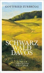 Gottfried Zurbrügg - Schwarzwalddavos