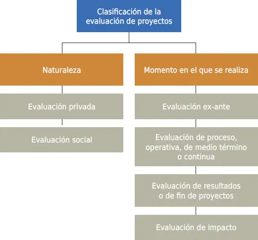 1 Evaluación privada incluye a la evaluación económica que asume que el - фото 18