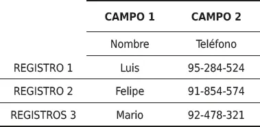 Elementos de la tabla Ejemplo En nuestro caso los camposson los nombres sobre - фото 14