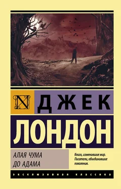 Джек Лондон Алая чума. До Адама обложка книги